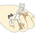 『ぷっちねこ。』