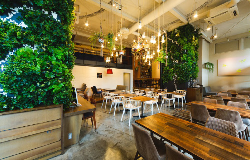 CAFE ZENON