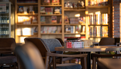 การไหลของโครงการ